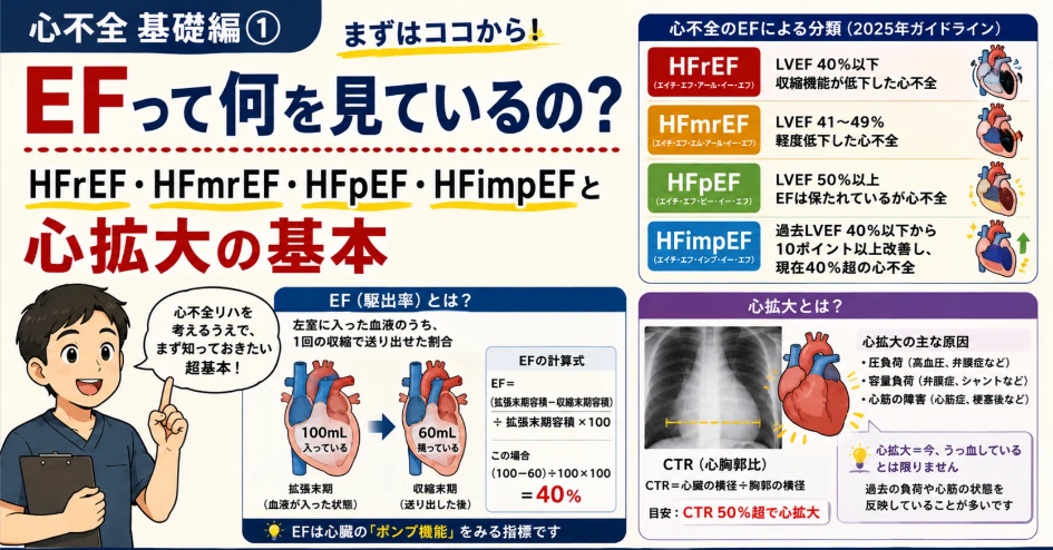 EF・HFrEF・HFpEFと心拡大の基礎を解説する図解