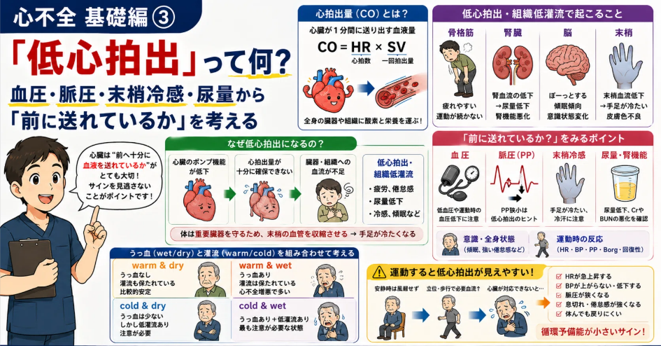 低心拍出を血圧・脈圧・末梢冷感・尿量から考える図解