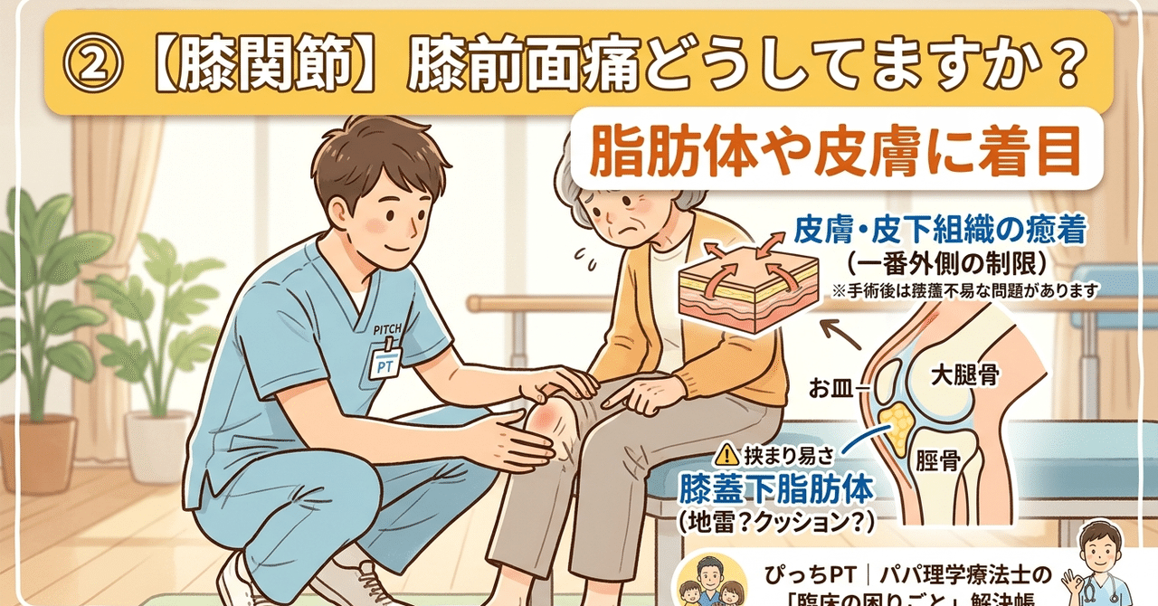 膝前面痛を脂肪体と皮膚から考える