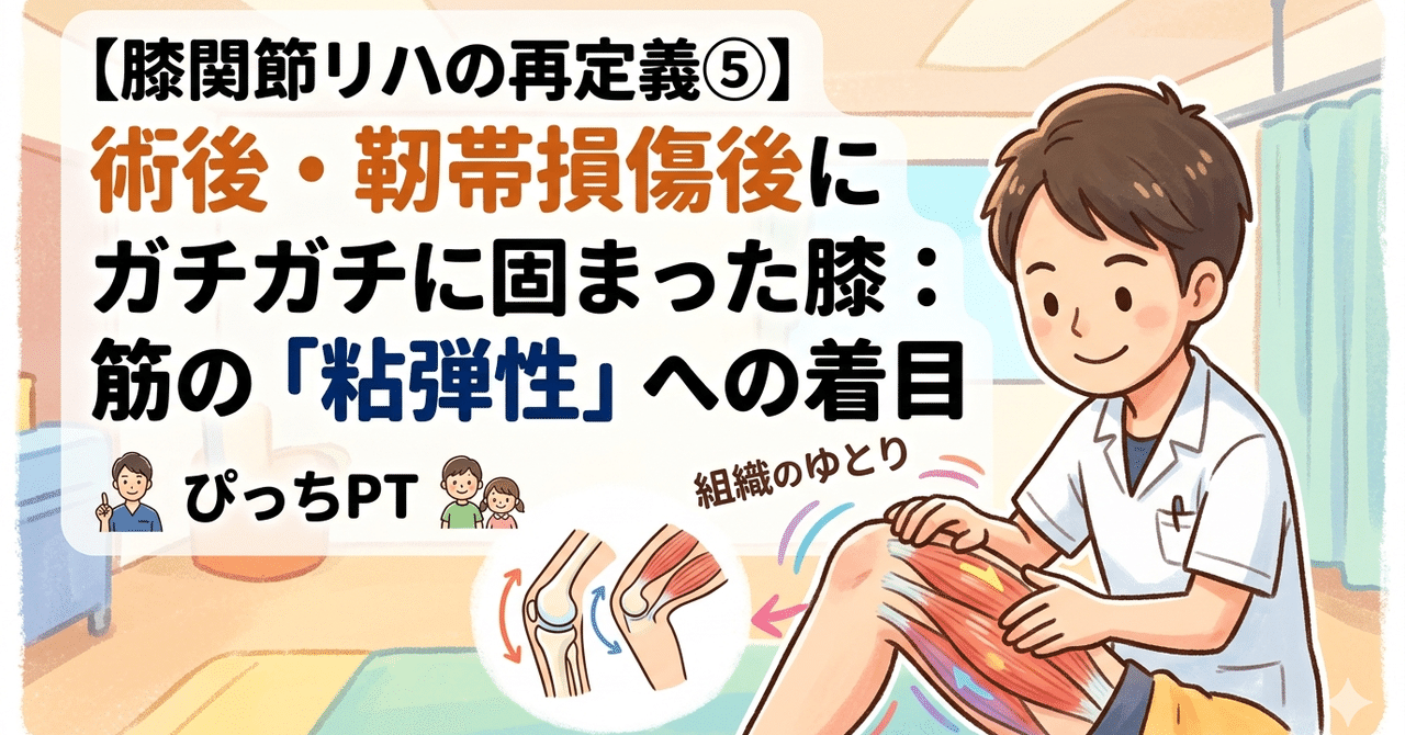 膝関節の筋の粘弾性を解説する記事サムネイル