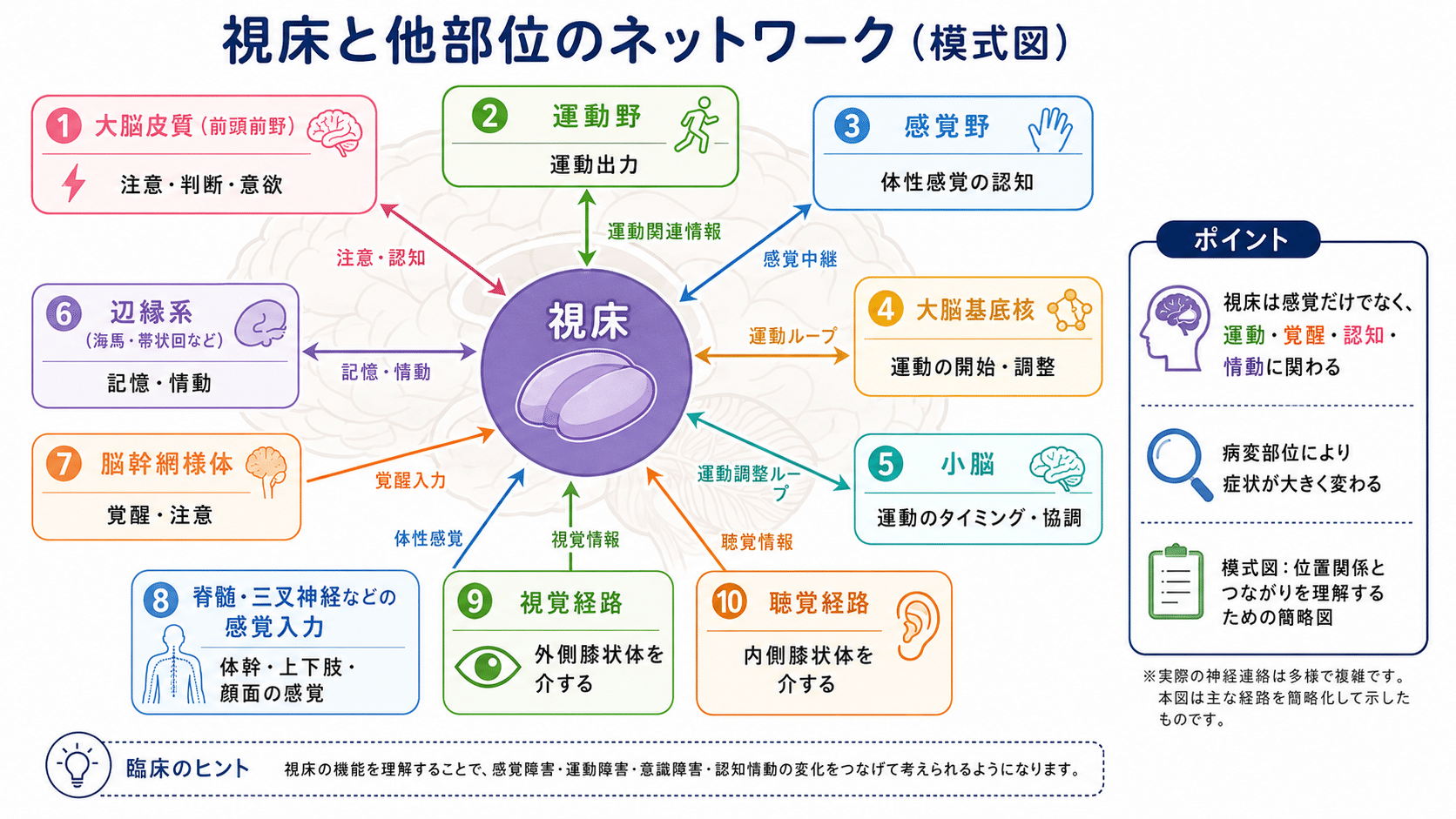 視床病変を考えるための図2
